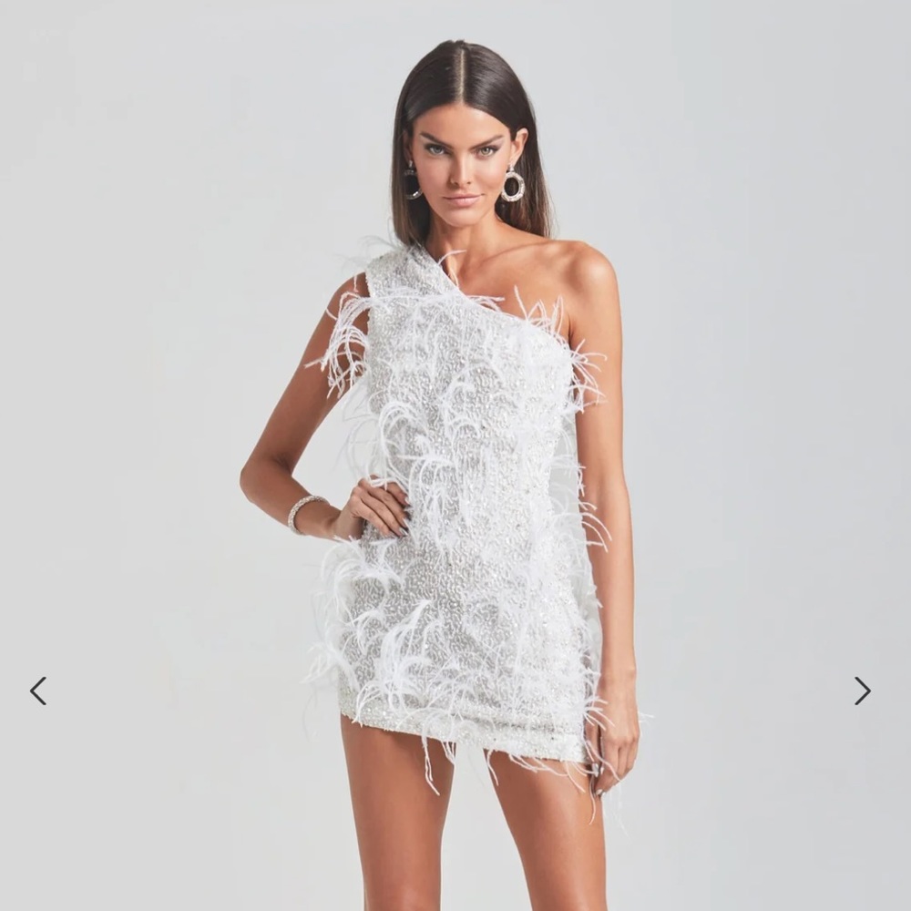 NWT Retrofete Sina Feather Dress SZ XL